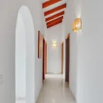 Amrita لا أوليفا